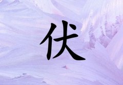 շк_շк100