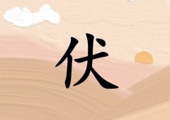 շк_շк100