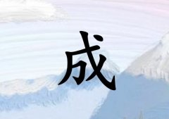 ճкˮ_ճкˮ100