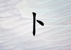ղк_ղк100