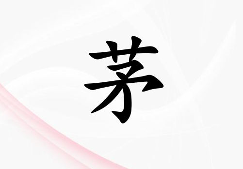 éŮ_éŮ100