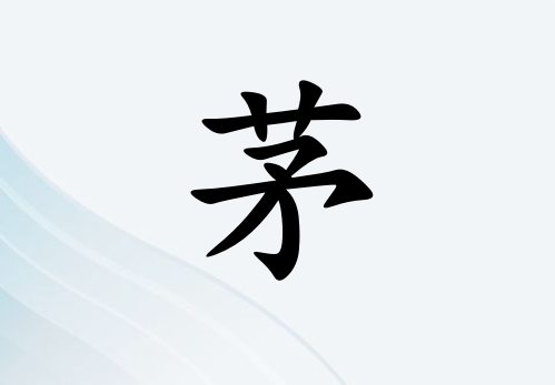 éŮ_éŮ100