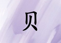 ձŮ_ձŮ100