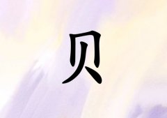 ձŮ_ձŮ100