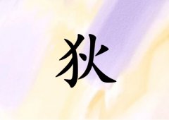 յŮ_յŮ100