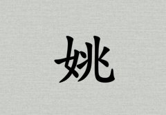 ҦŮ_ҦŮ100