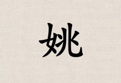 ҦŮ_ҦŮ100