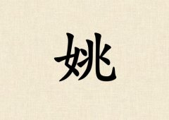 ҦŮ_ҦŮ100