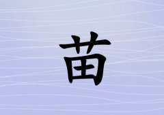 кˮ_кˮ100