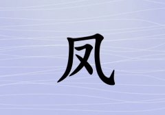 շкˮ_շкˮ100