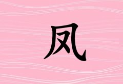 շк_շк100