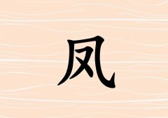 շк_շк100