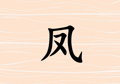շк_շк100