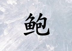 ձŮ_ձŮ100