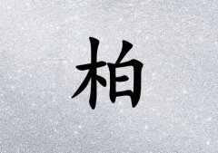 հк_հк100
