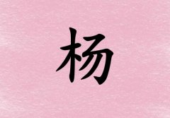 Ů_Ů100