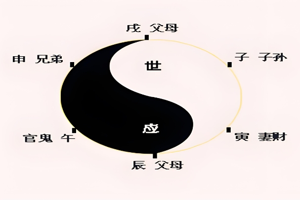 ʮ۹