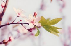 һʲô˼