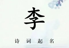 кʫ200_ʫʫʸк