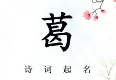 ոкʫ200_ʫʫʸոк