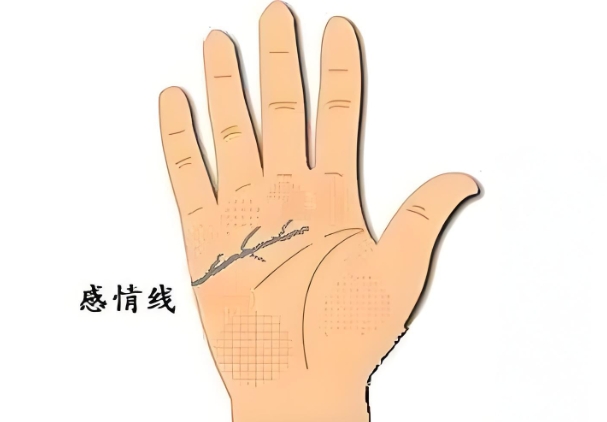 ߷ֲ浽ǻ߻
