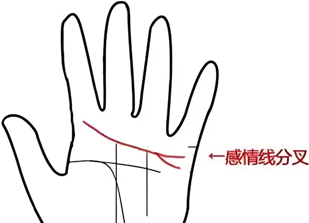 ûлԤʾʲô