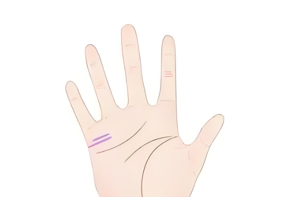 ȸ˵