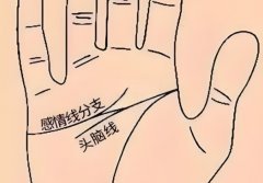 鳡Ӯҵ