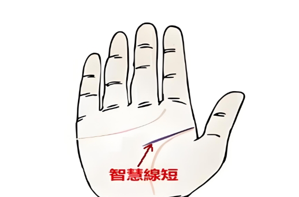 ǻ߹̻