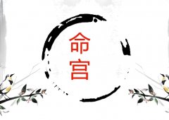 ΢ӦΪʧ֮