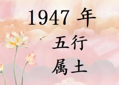 1947ʲô1947ʲô