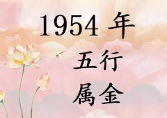1954ʲô1954ʲô