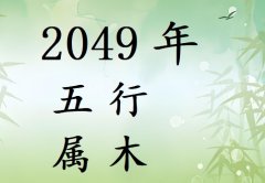 2049ʲô2049ʲô