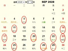 20289°һƵ ʺ20289°ҵĺ