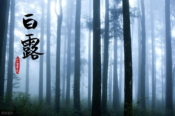 2026年白露是哪一天,2026年白露的具体时间