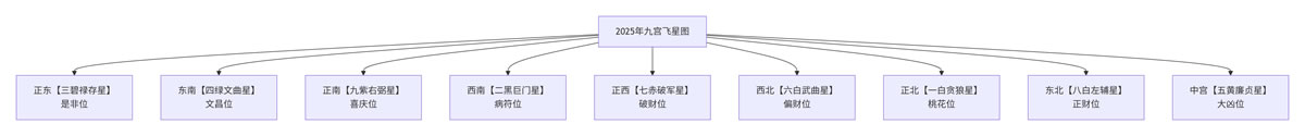 2025年九宫飞星分布图