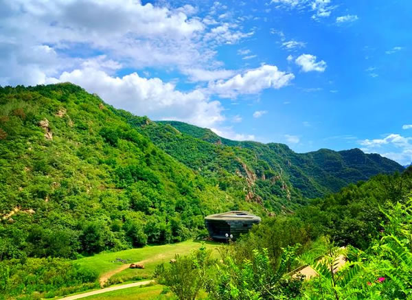 2025年财运最好的星座