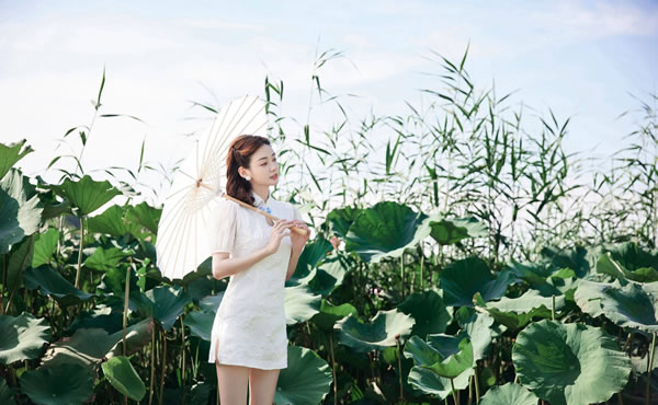 1976年属龙的人2025年生肖运势如何