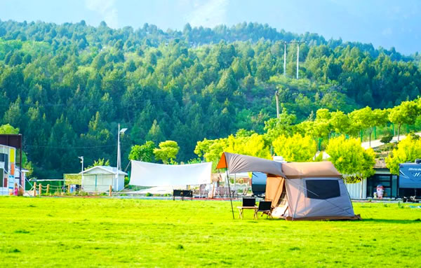 2011年属兔的人2025年生肖运势如何