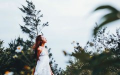 2026��ũ������Ҫϰ�׽���