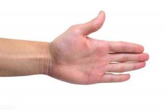 手相看一个人有几段姻缘