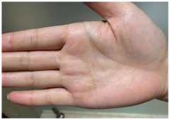 拥有好姻缘的女人手相特征