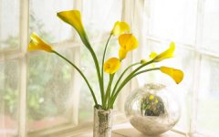 2026���ˮ������Ҫע����Щ