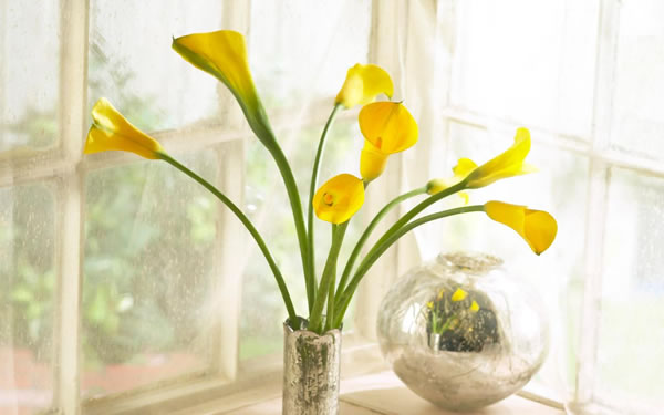 2026年风水开运需要注意哪些