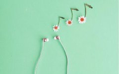 2026�������õļ�������