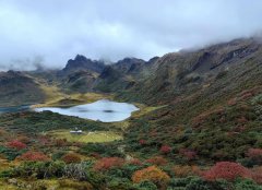 属蛇人2026年1月运势详解