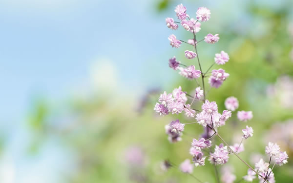 �����˵��Ը���ϸ�汾