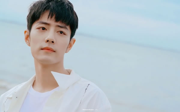 ľ����ʲô��˼�����ľ����