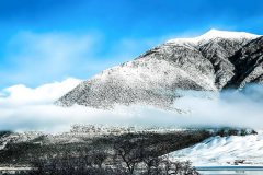 ������ʲô��˼����������