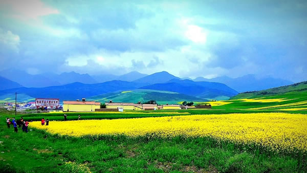 ����ʲô��˼�����